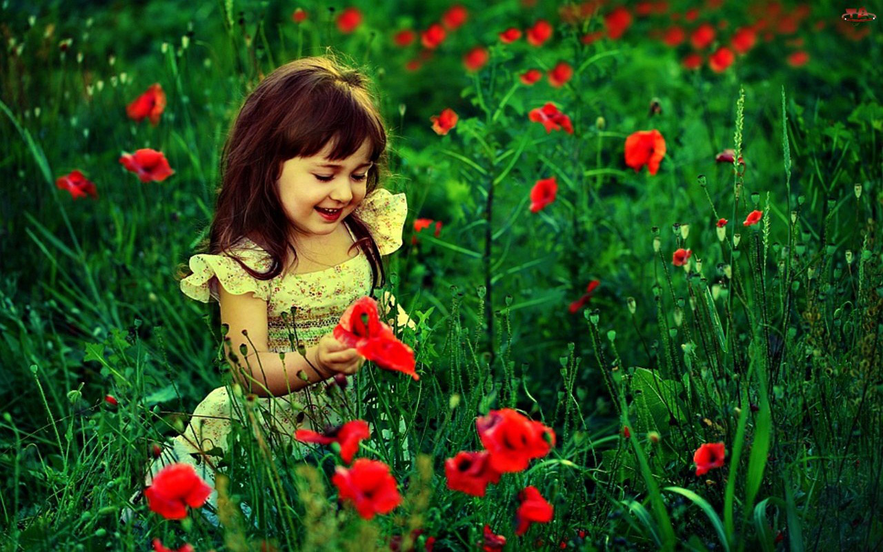 Cute Baby Girl With Red Flowers HD Wallpaper Little Babies