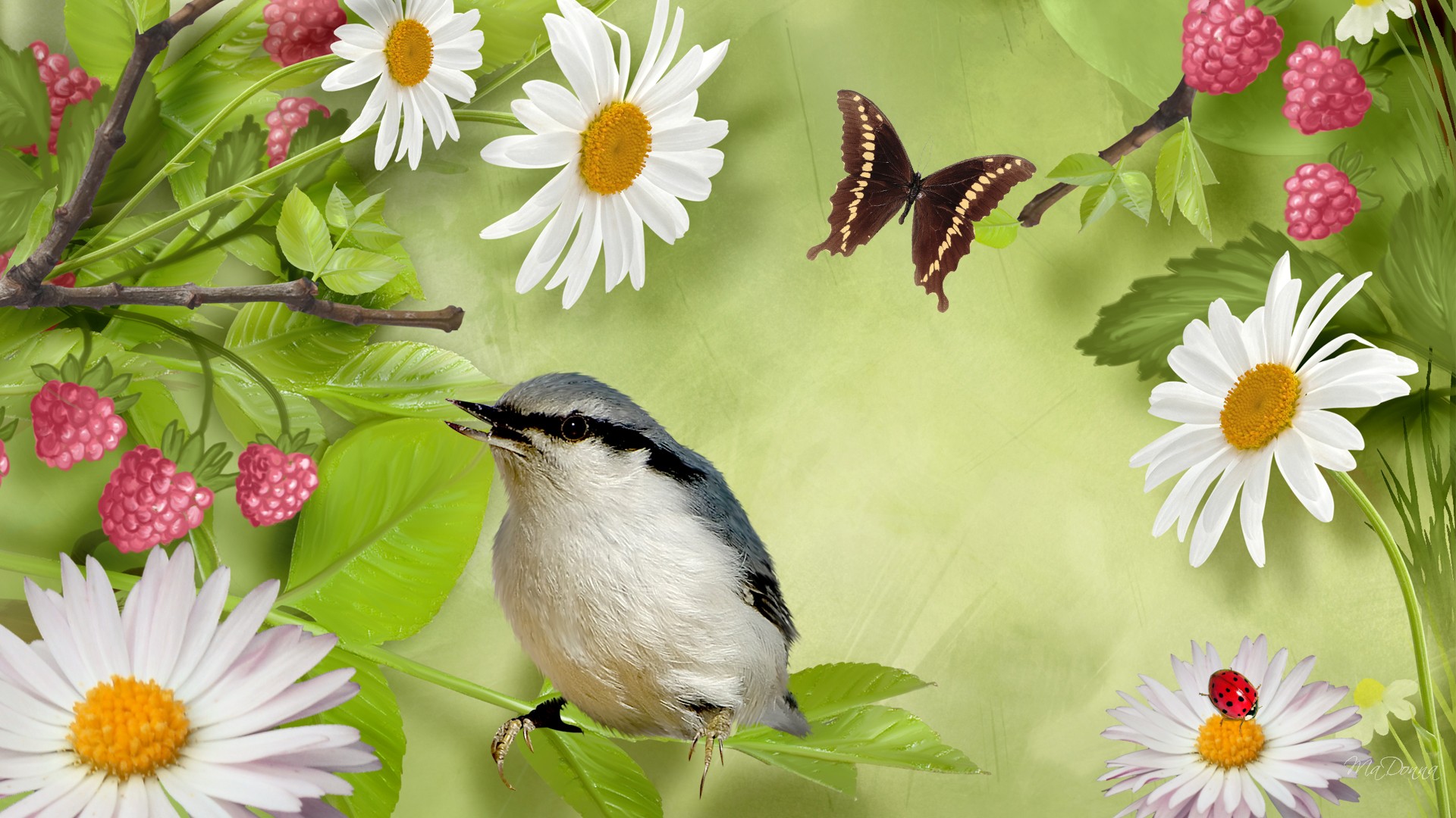 How To Attract Birds And Butterflies Your Garden Ap Nursery