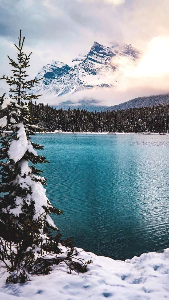 Blue Lake Winter Mountains Pine Trees iPhone Wallpaper