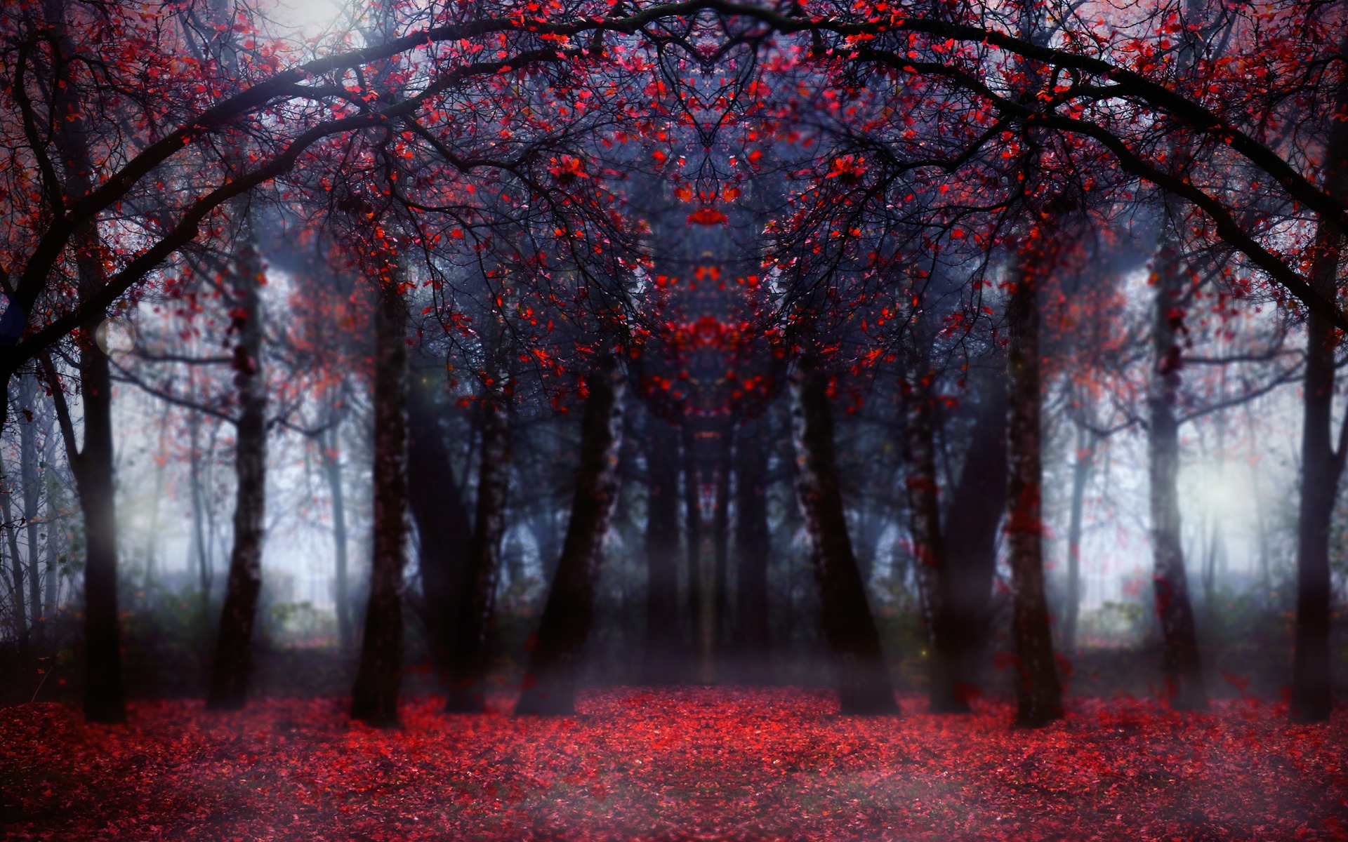 Wallpaper Free Beautiful HD Magical Red Forest In Focus Wallpaper