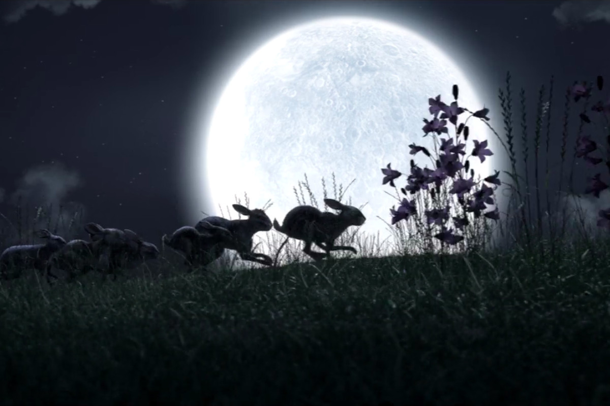 Flix S Watership Down Proves It Was A Horror Story All Along Vox