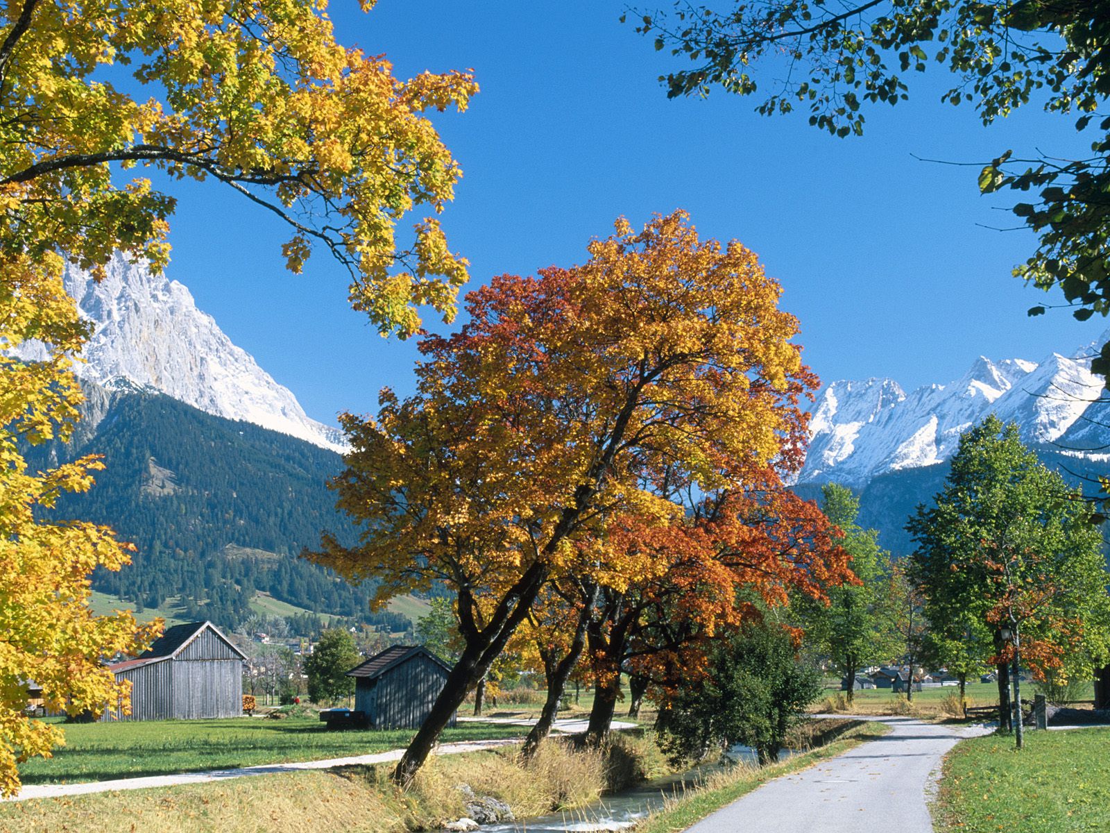  in Autumn Alps wallpapers and images   wallpapers pictures photos
