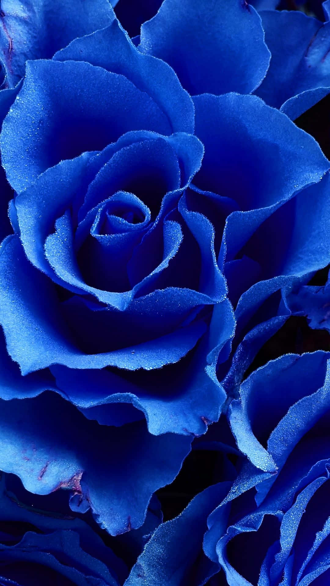Serene Beauty Wallpaper