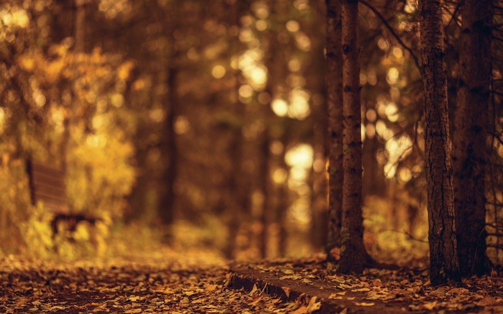 Nature Bench Blur Wallpaper