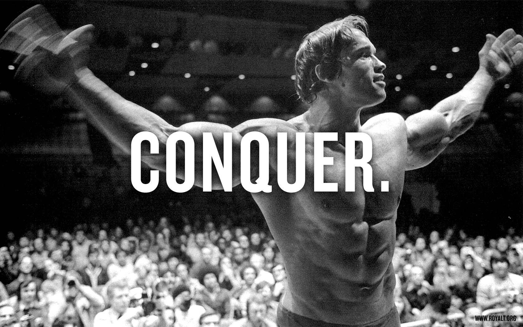 Beast Motivation Arnold Schwarzenegger Conquer 1680x1050