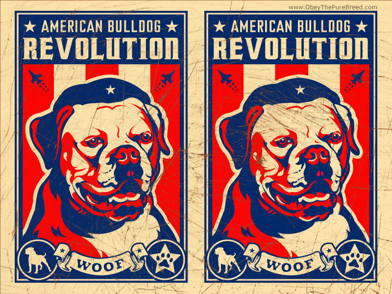 Patriotism And This American Bulldog Propaganda Wallpaper