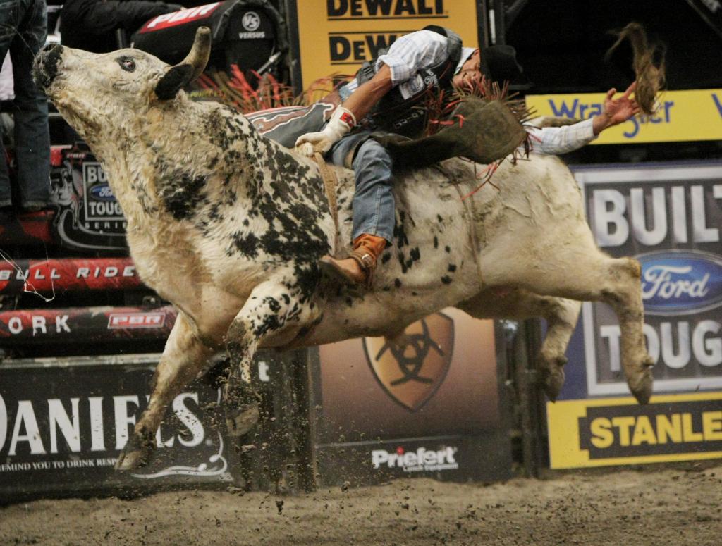 Cool Bull Riding Wallpaper Image Amp Pictures Becuo