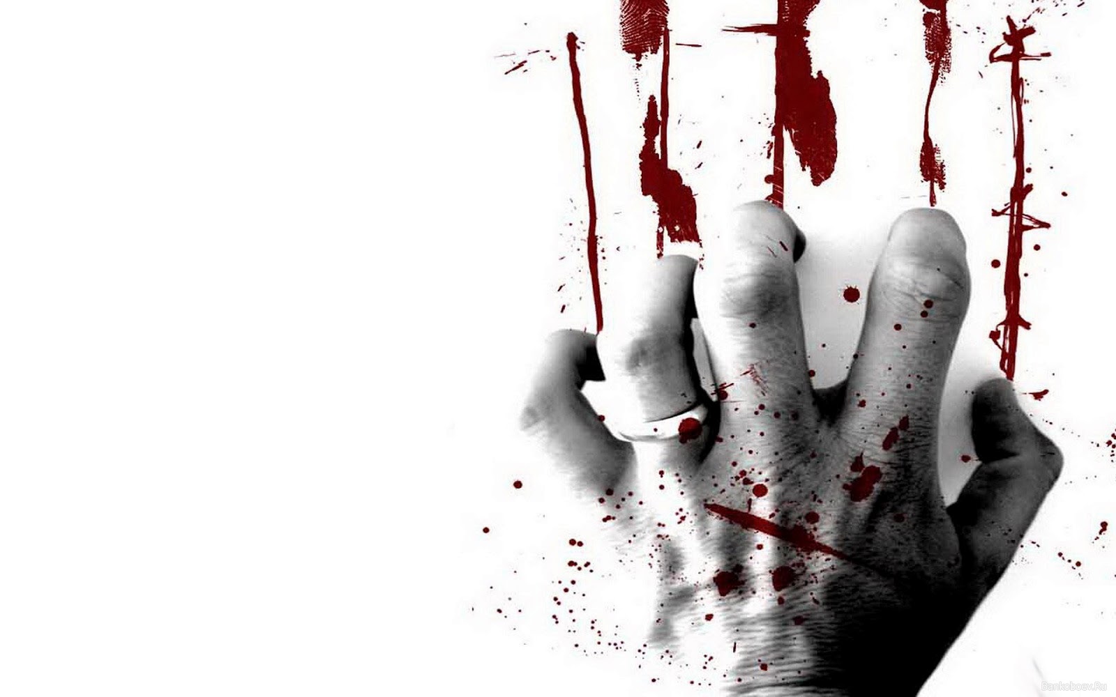 Bloody Widescreen Wallpaper HD And Make Your Desktop Cool