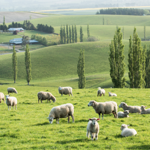 Be The First To Re Country Landscape Click Here Cancel