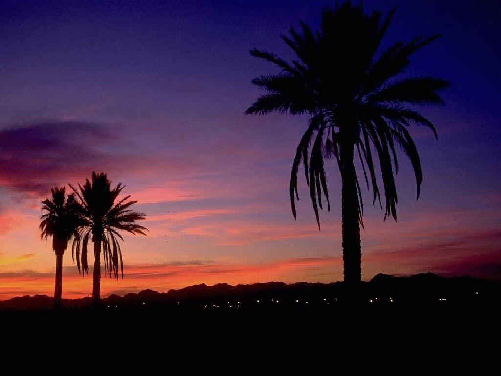 Semi tropical sunset Arizona wallpaper