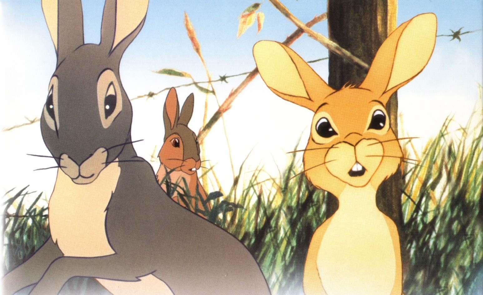 Watership Down The Perfect Easter Or Passover Movie