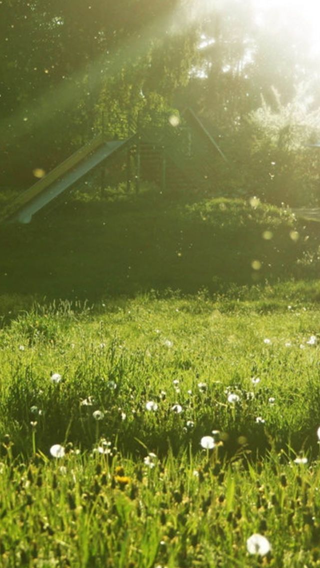 Sunny Day Grassland iPhone Wallpaper 5s Phone