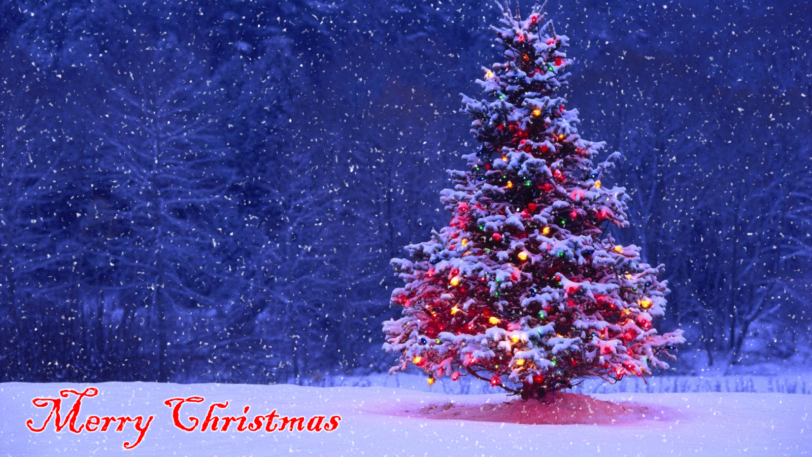 Merry Christmas Tree In Snowy Woods Animated Snow