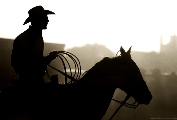 Wallpaper silhouette cowboy rodeo horse hat desktop wallpaper