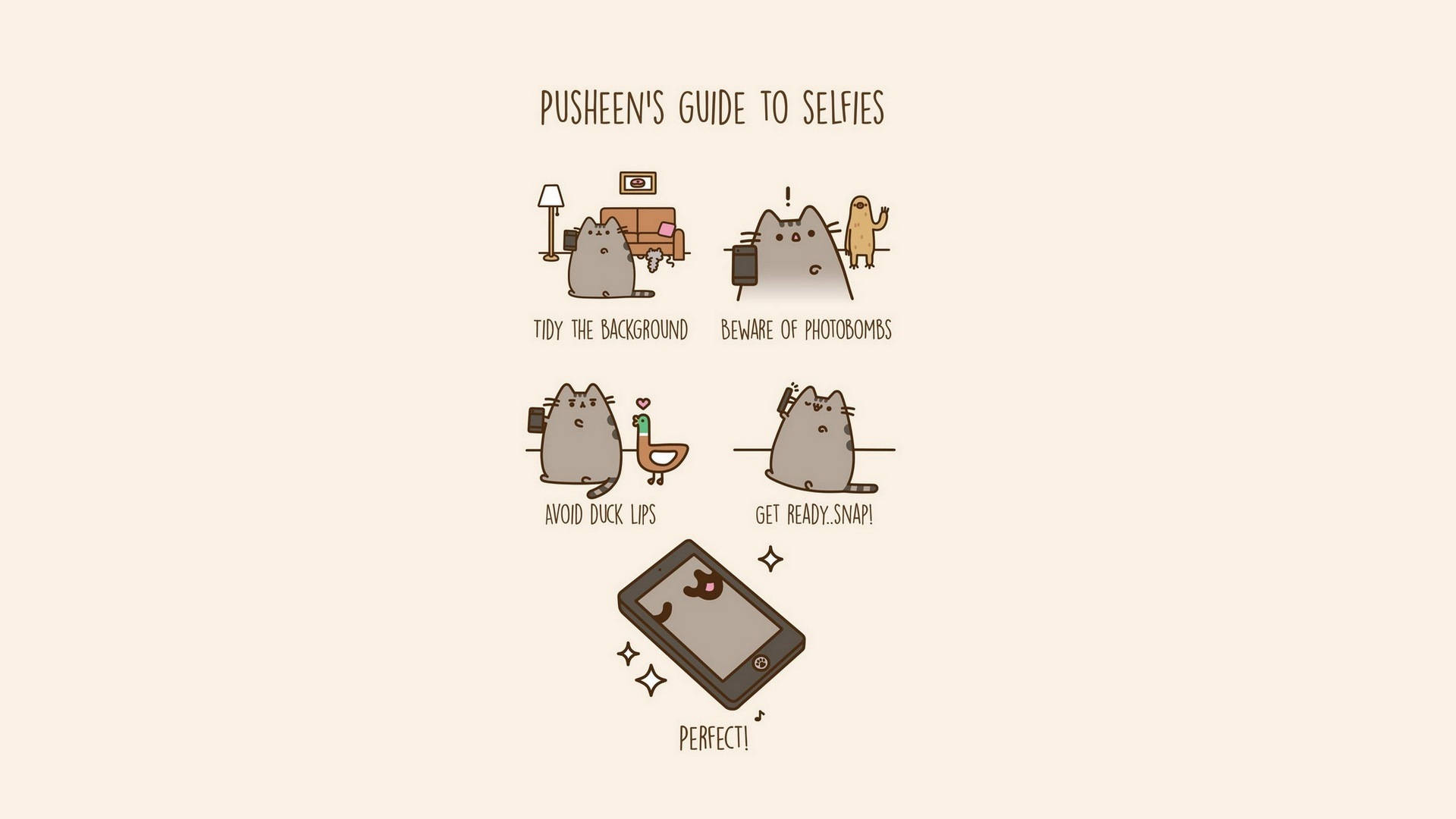 Cat Meme Wallpaper