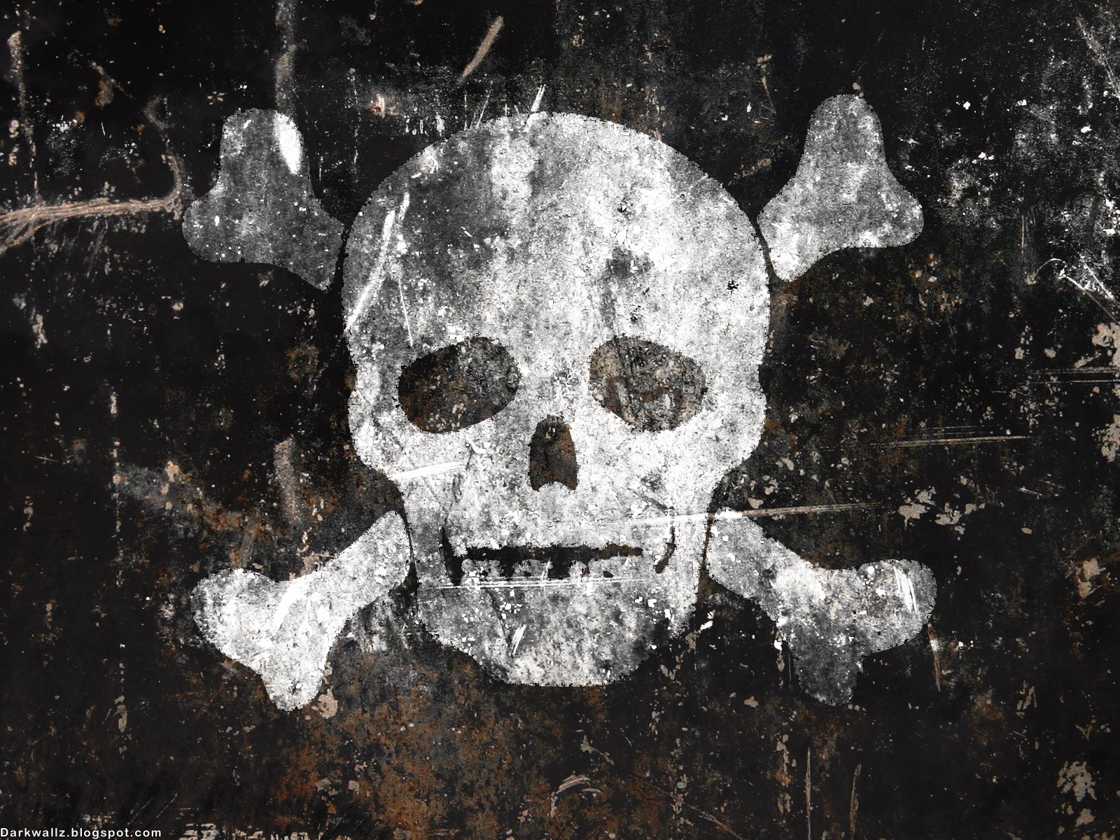 Bones Background Texture Photo Skull And