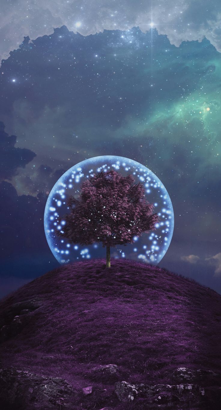 Tree Wallpaper Magical Spiritual