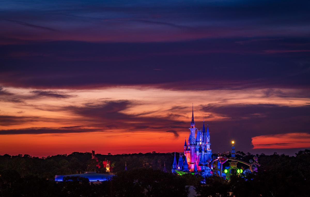 Disney iPhone Wallpaper Tourist