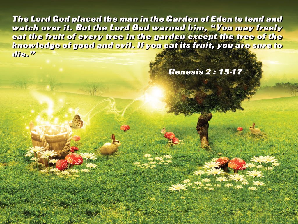 Genesis God S Mand Wallpaper Christian