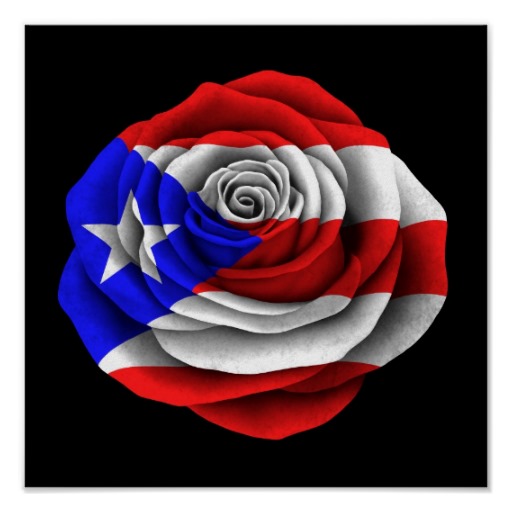 Puerto Rican Rose Flag On Black Poster