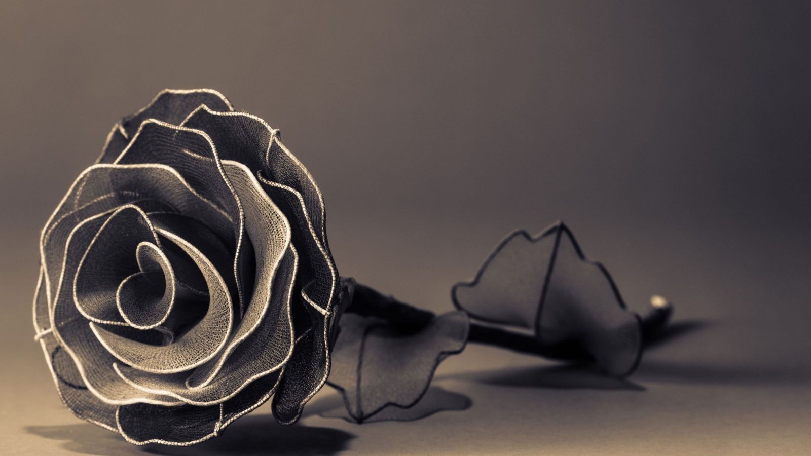 Free download Black Rose 4K Wallpaper Picture Image [1600x900] for your