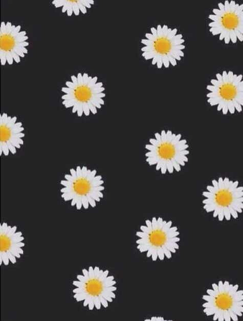 Daisy Flowers Background