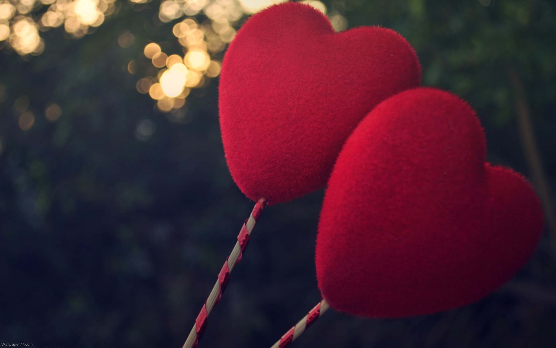 Heart Feelings Wallpaper Love Valentine