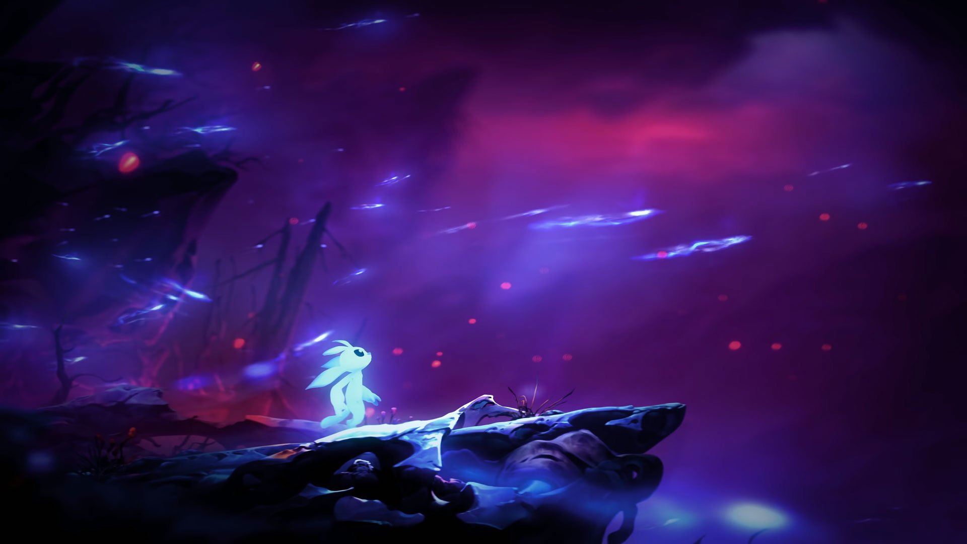 Ori and the Will of the Wisps Guide Release Date Wallpapers