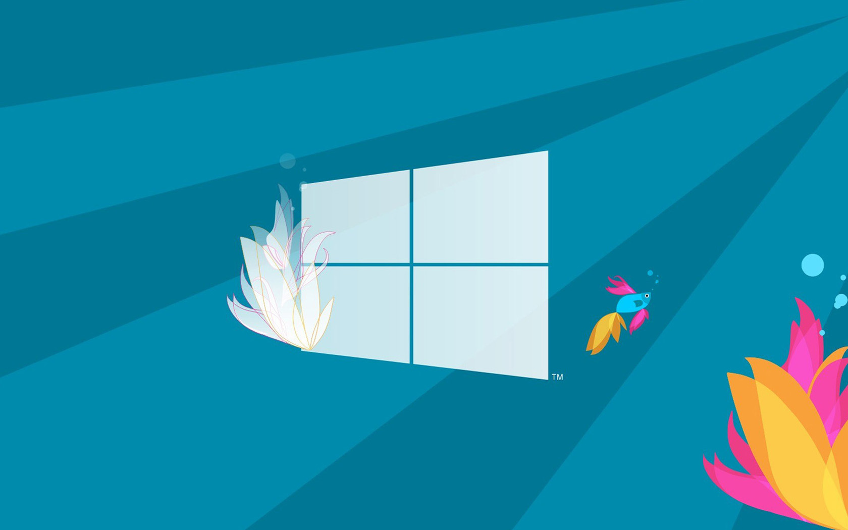 Windows Official Minimalist Wallpaper HD S