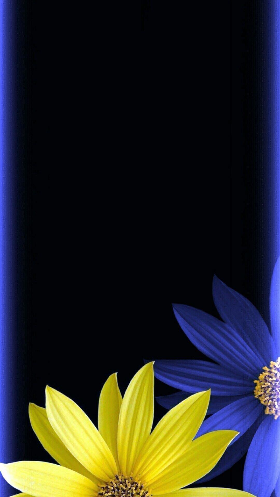 Blue Yellow Black Floral Wallpaper Mobcup