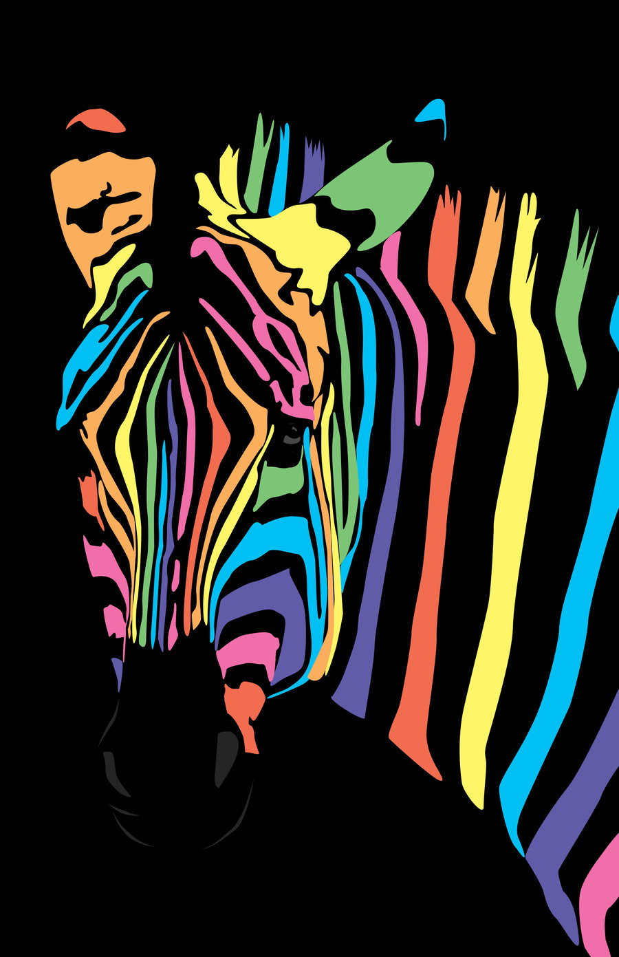 Rainbow Zebra By Jasminebrione Digital Art Vector Animals Yes I Know