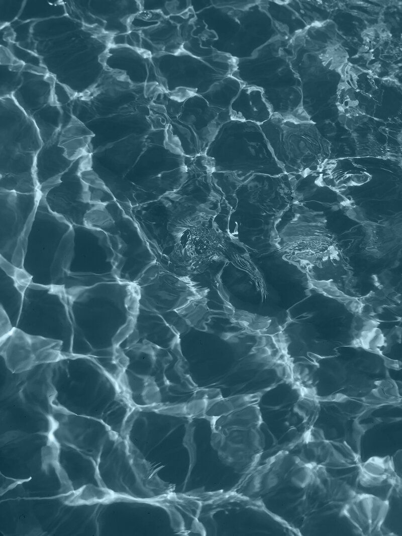 Water Aesthetic Wallpaper
