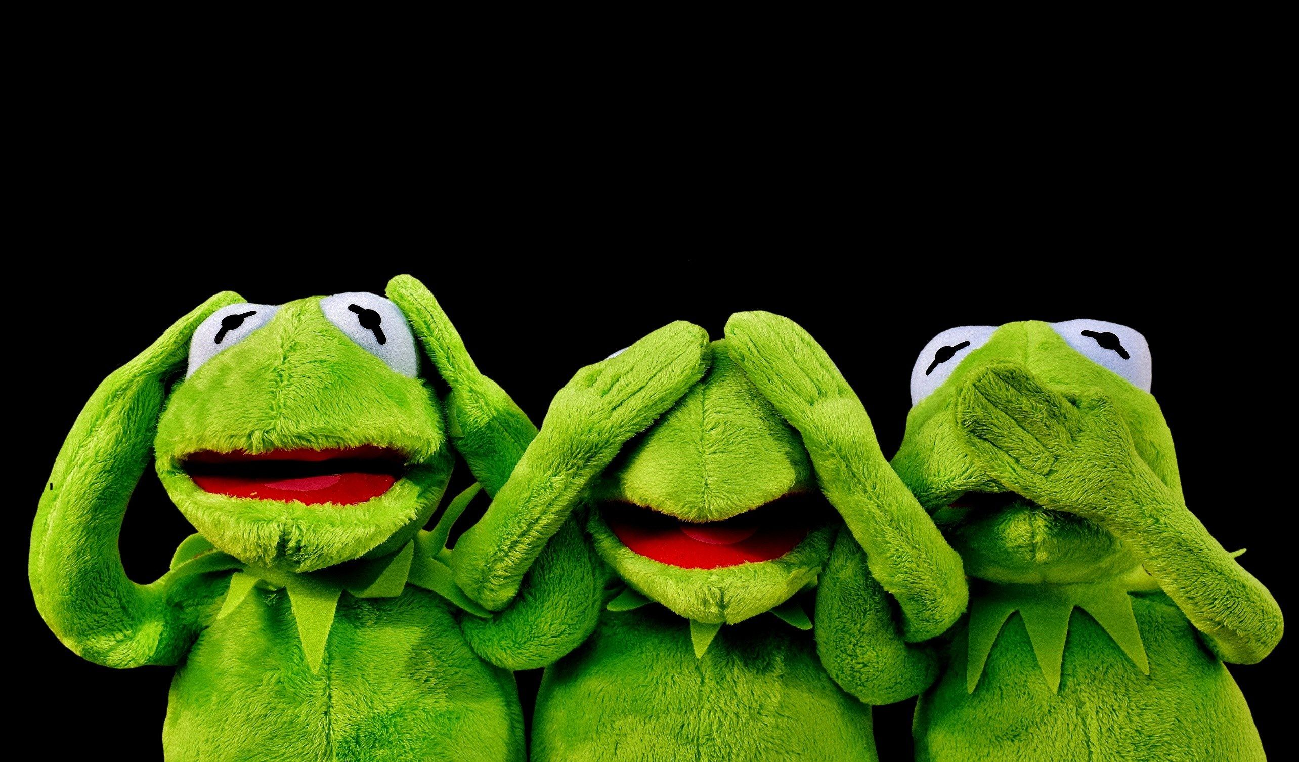 Kermit The Frog Computer Wallpaper On