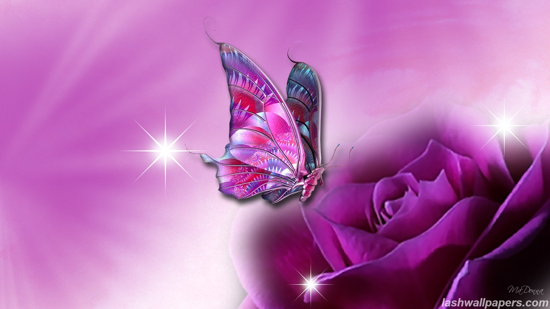Butterfly Wallpaper HD And Pictures