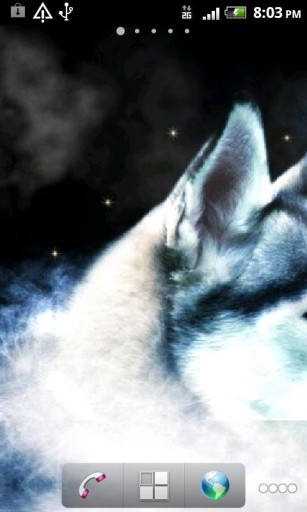 Bigger White Wolf Live Wallpaper For Android Screenshot
