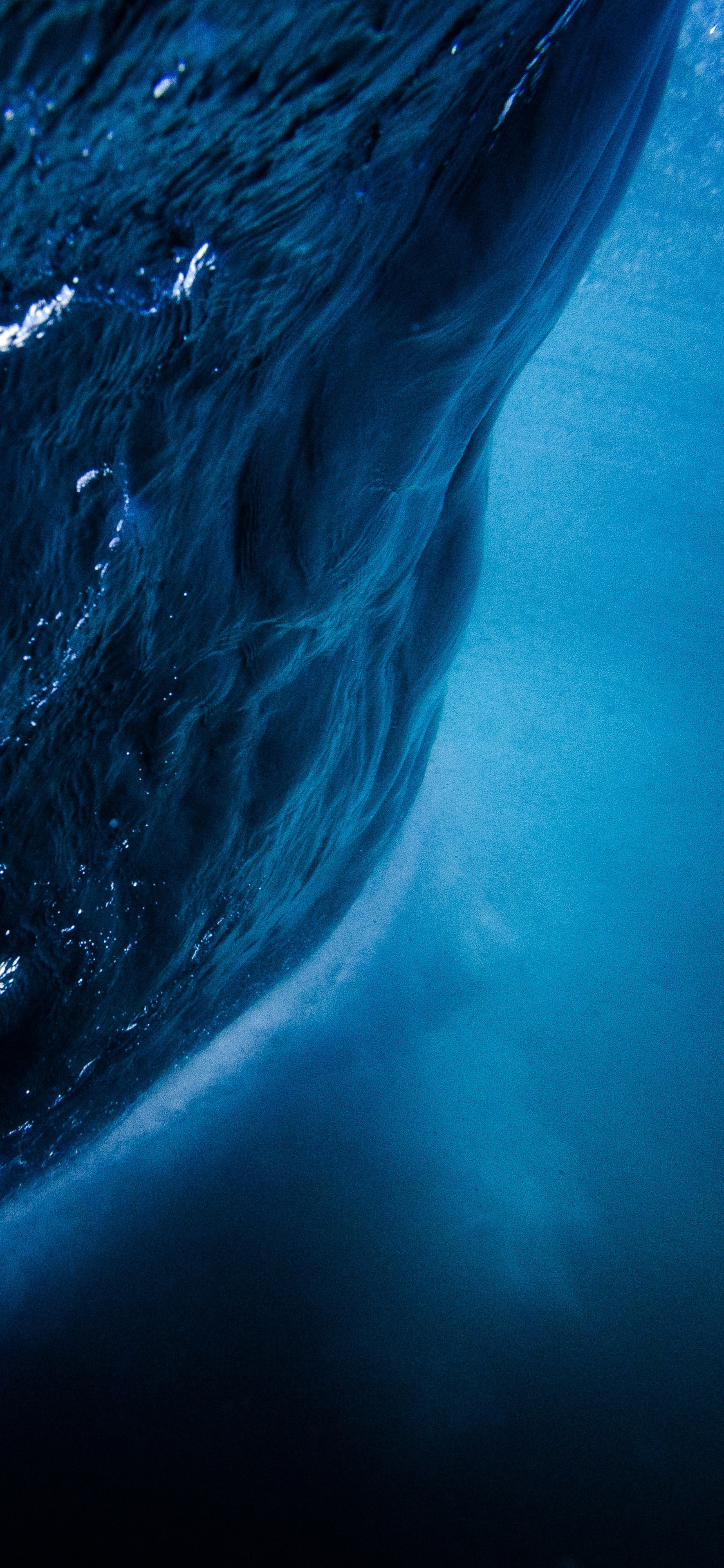 A mesmerizing underwater 4k wallpaper showcasing the deep blue ocean with light filtering through the surface, creating a captivating and serene scene