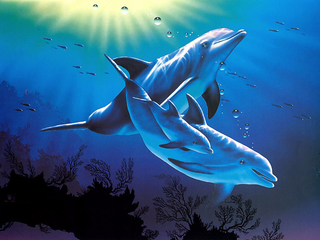 Dolphins 3d Desktop HD Wallpaper Abstract