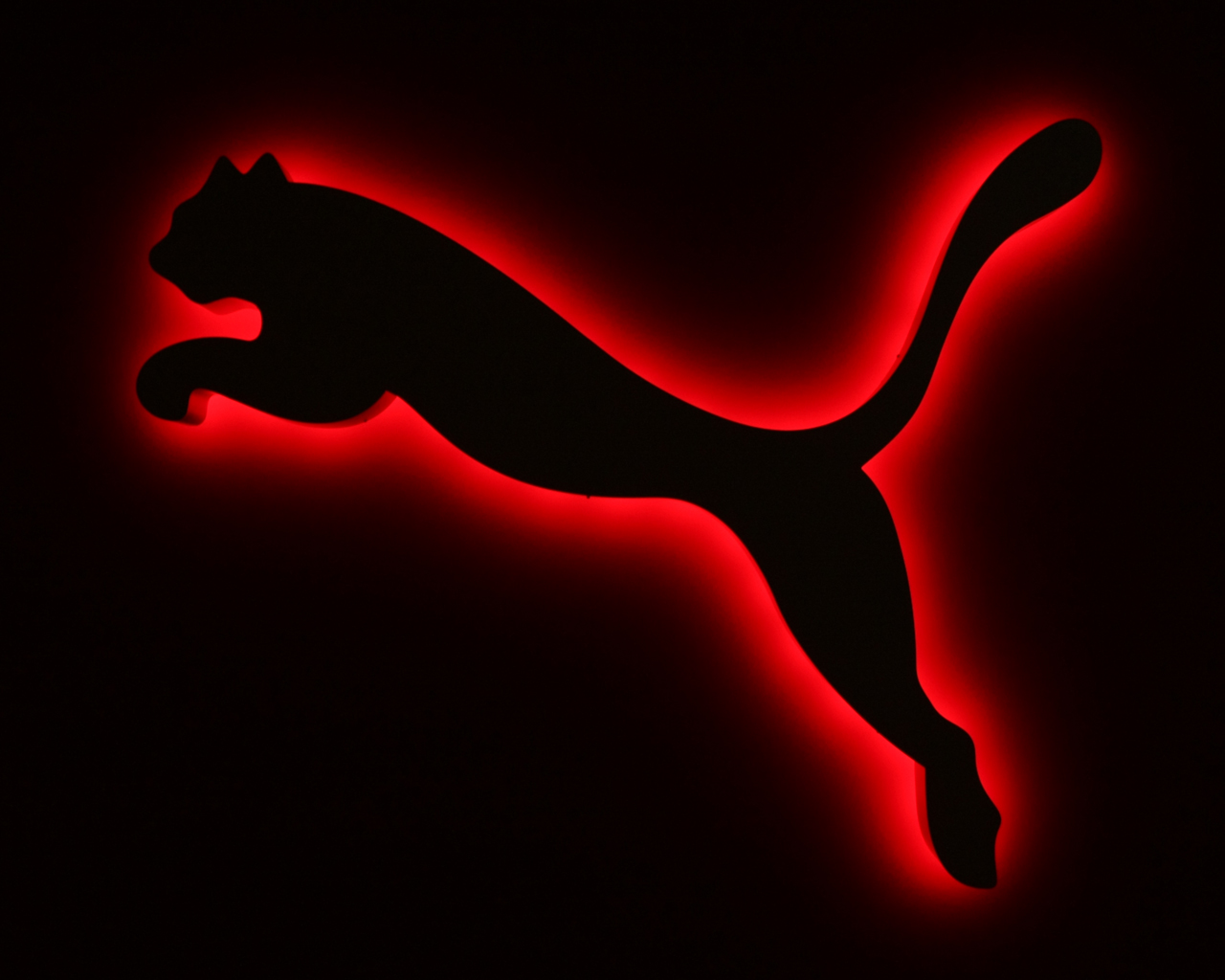 Puma Wallpapers 71 pictures