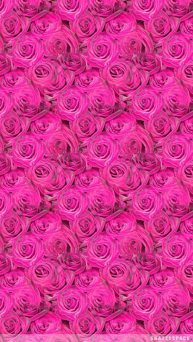 Wallpaper Installing This Pink Roses iPhone Is Very Easy