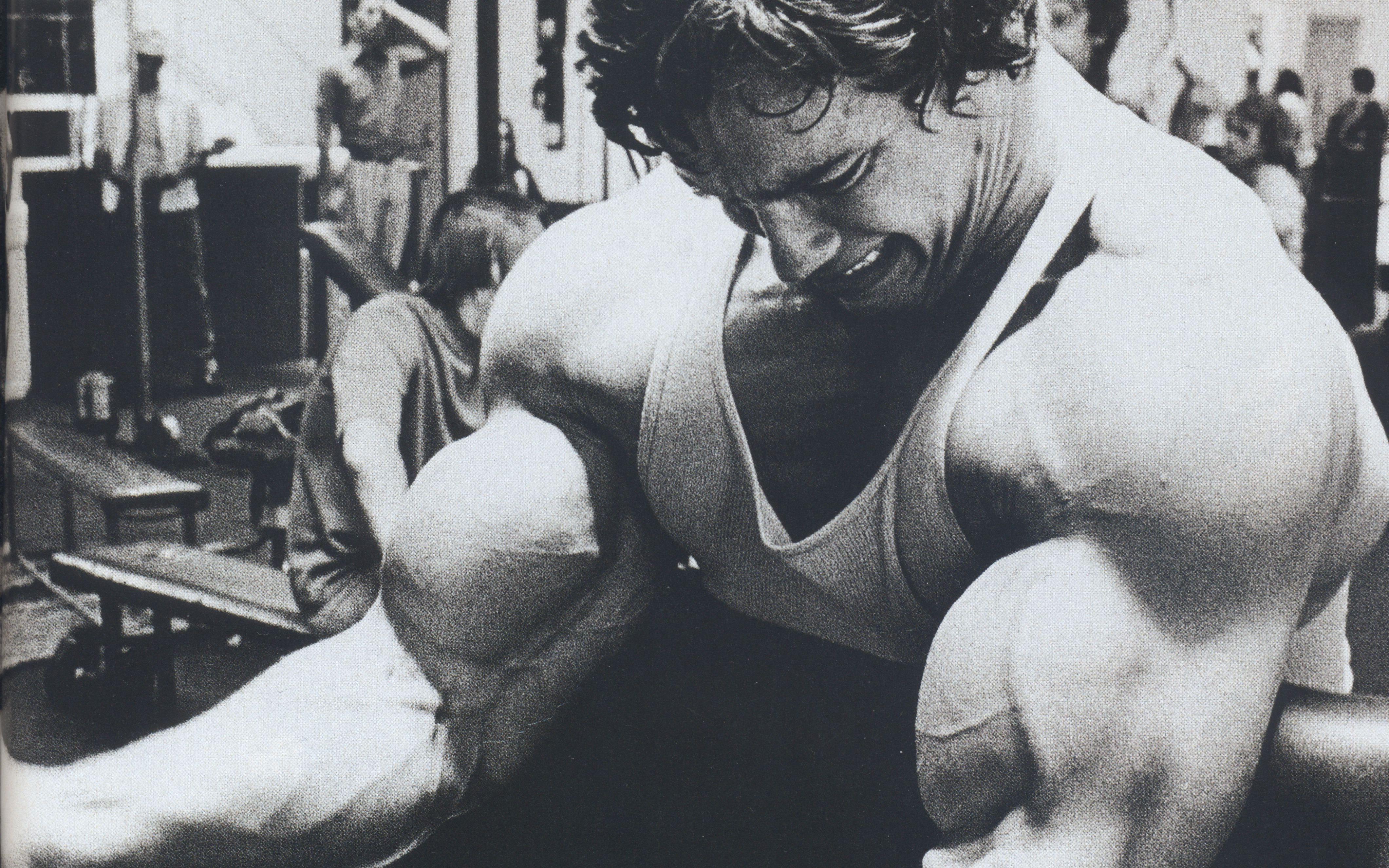 Arnold Schwarzenegger Wallpaper Muscle