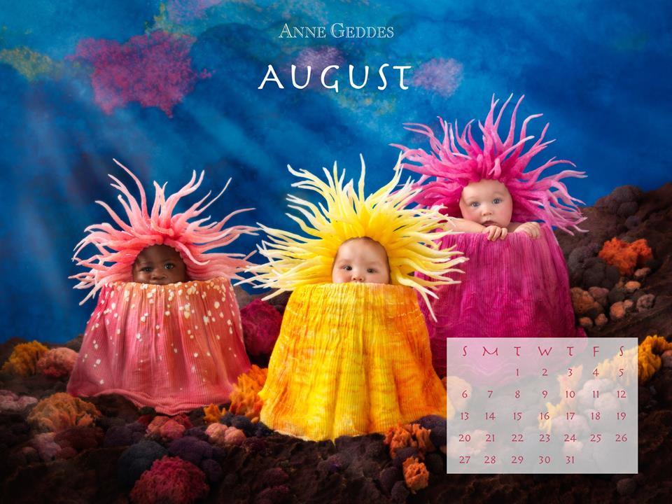 Anne Geddes Our Monthly Desktop Wallpaper For August Is