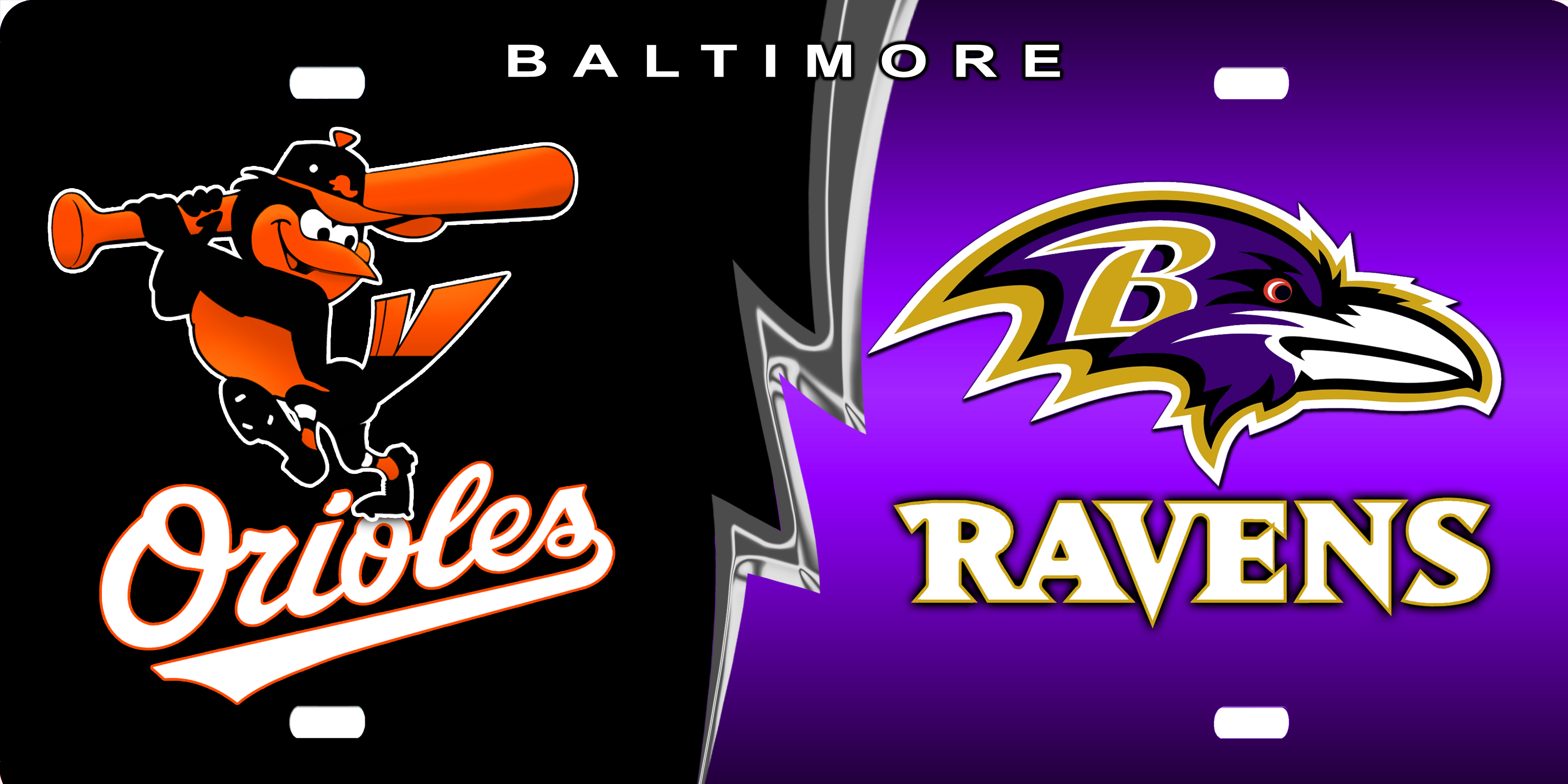 Orioles And Ravens License Plate