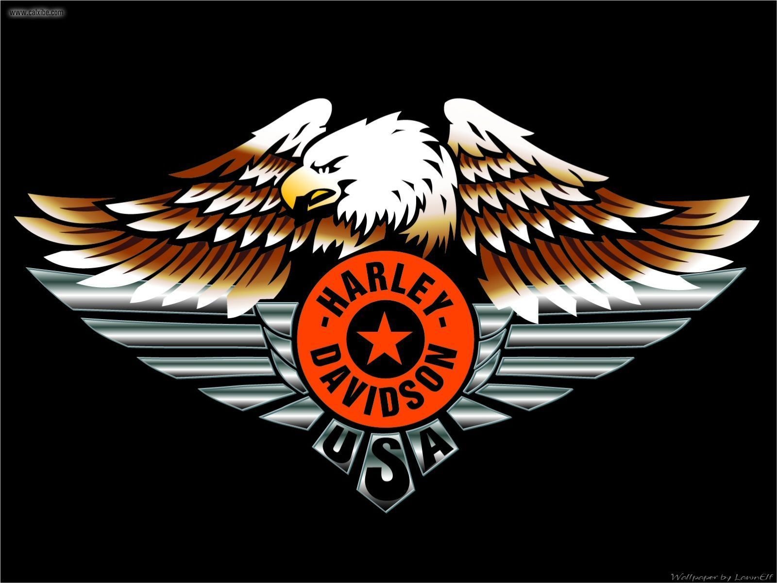 Harley Davidson Eagle Wallpaper 7500 Hd Wallpapers in Bikes   Imagesci