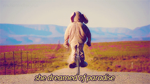 Paradise Elephant Coldplay