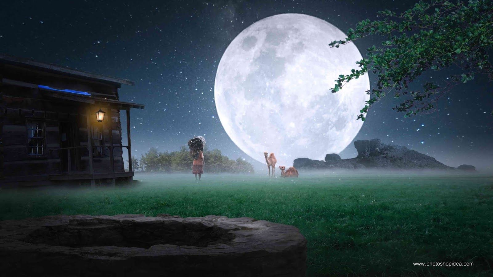 Nature Background Night Effect With Moon Full HD