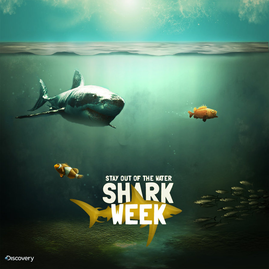 Shark Week Wallpaper By Di9ital