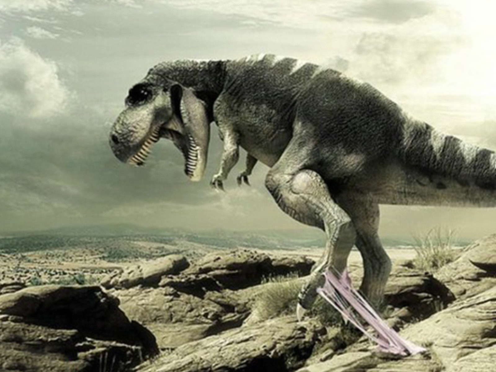 Dinosaur Wallpaper