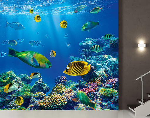 Mural Underwater World Wallpaper Wall Art Decor Fishes