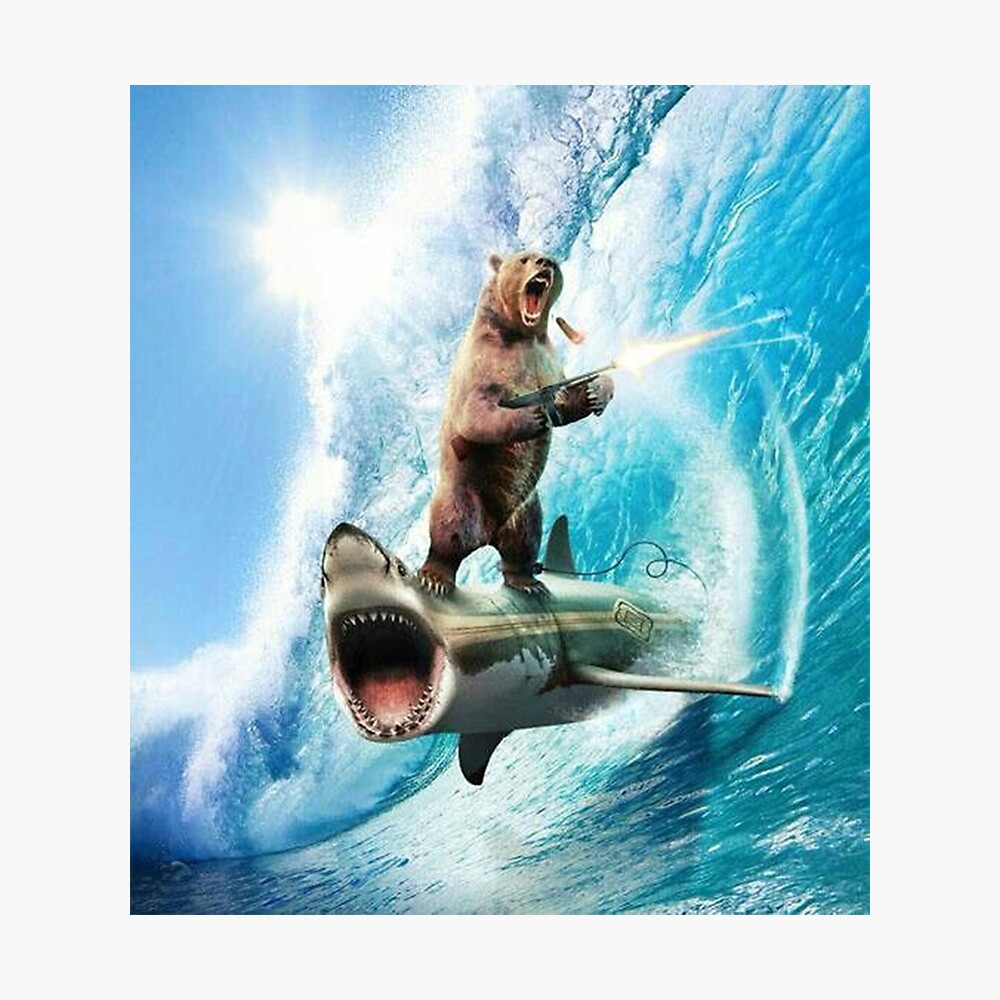 Bear Surfing On Shark Metal Print By Nowukkasmate