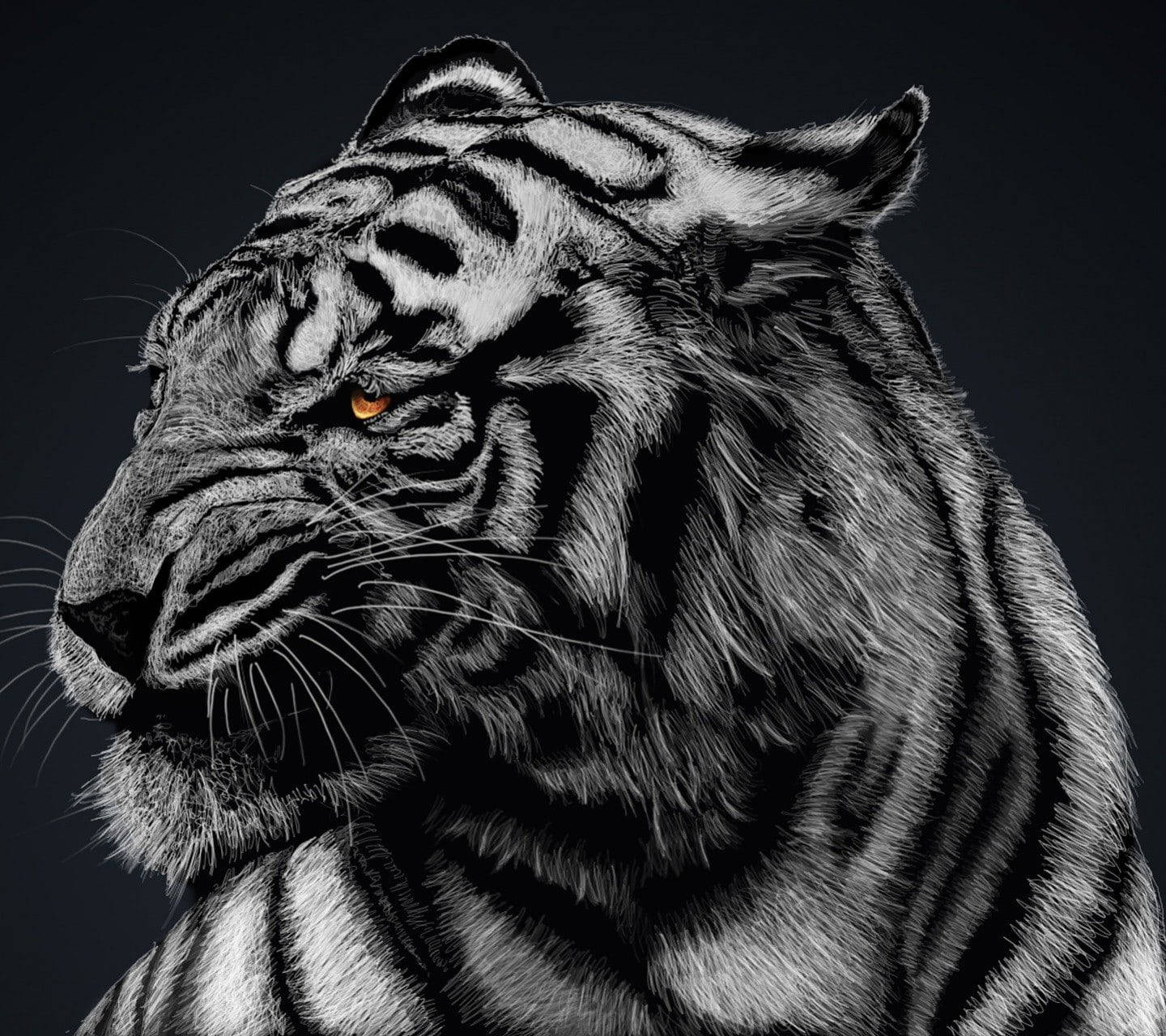 Black Tiger HD Wallpaper